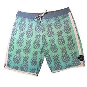 Rip Curl Mens Size 36 Pineapple Print Swim Trunks in Green and Blue